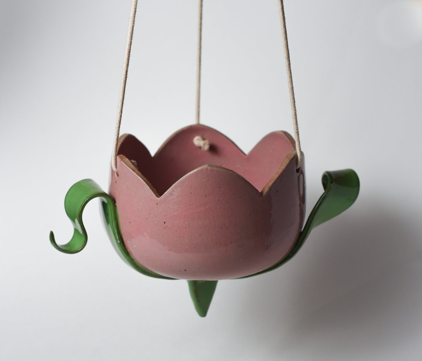 Hanging Tulip Planter