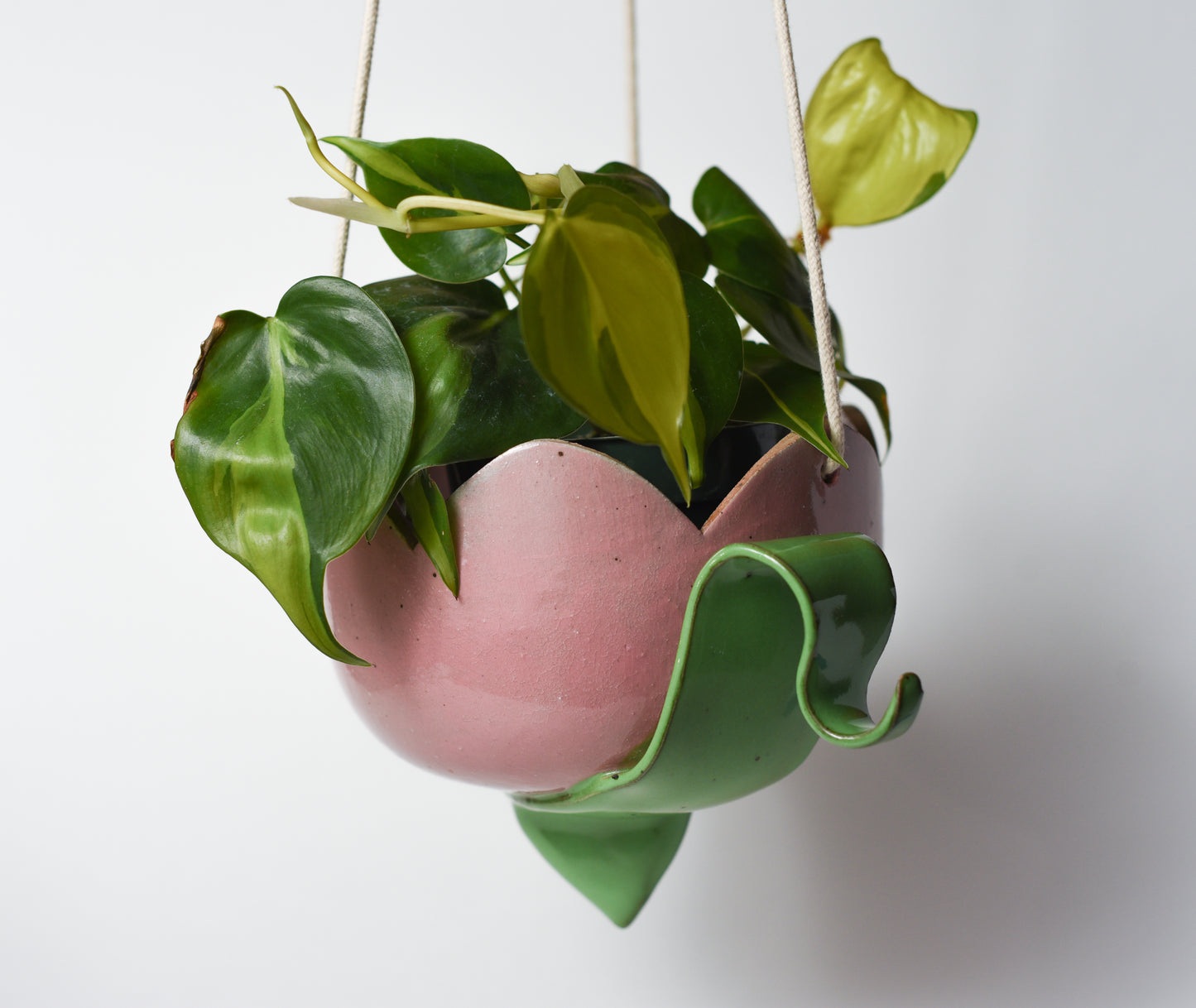 Hanging Tulip Planter