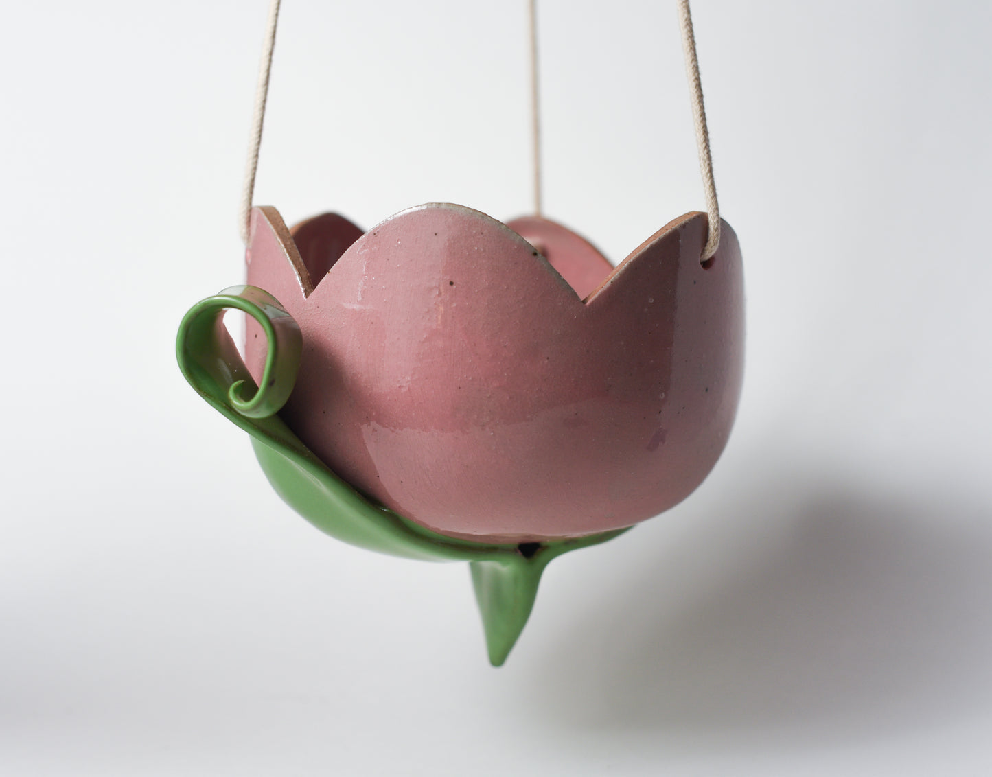 Hanging Tulip Planter